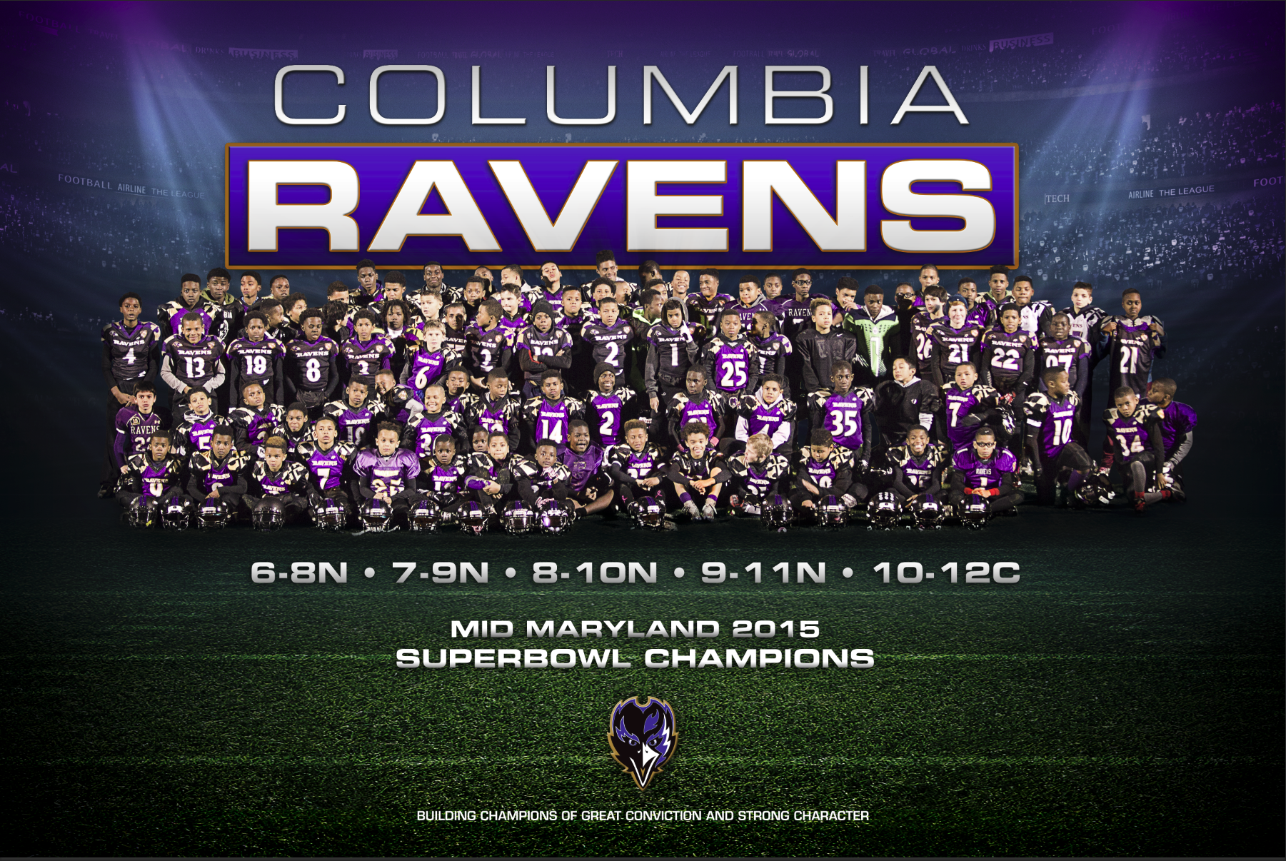 RavensSuperBowl2015